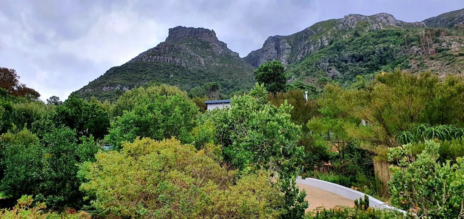 Chalet The Green Cabin Le Cap Afrique du Sud