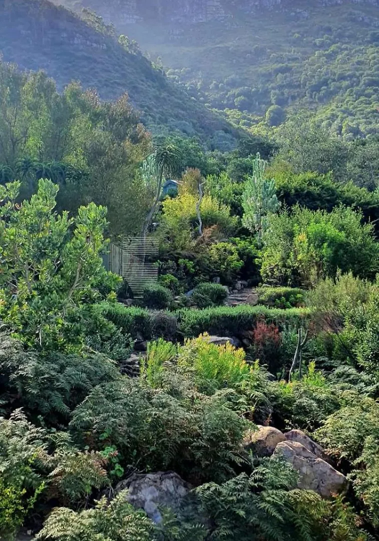 The Green Cabin Cape Town South Africa